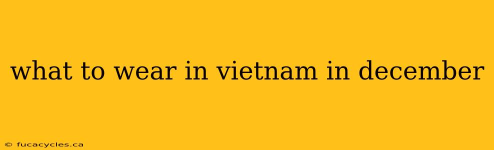 what to wear in vietnam in december