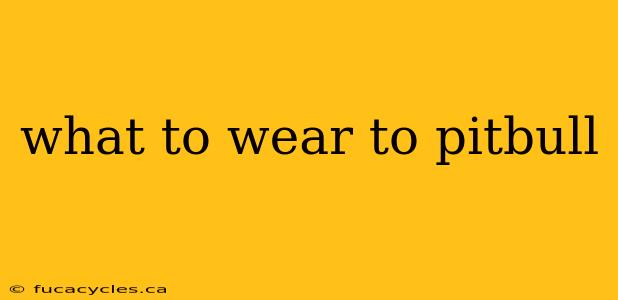 what to wear to pitbull