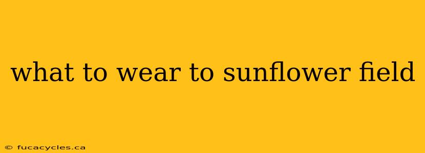 what to wear to sunflower field