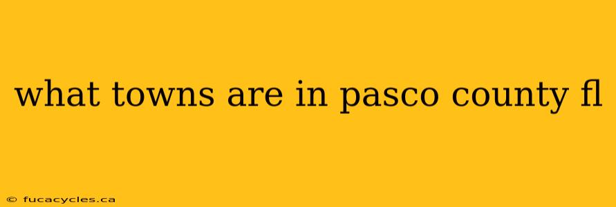 what towns are in pasco county fl