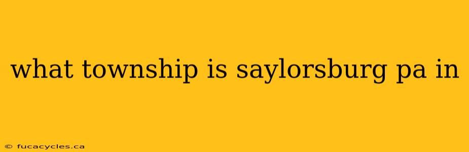 what township is saylorsburg pa in