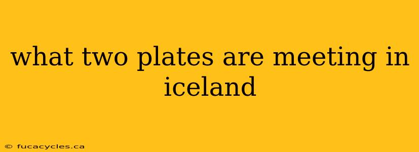 what two plates are meeting in iceland