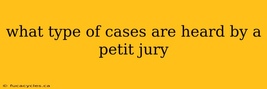 what type of cases are heard by a petit jury