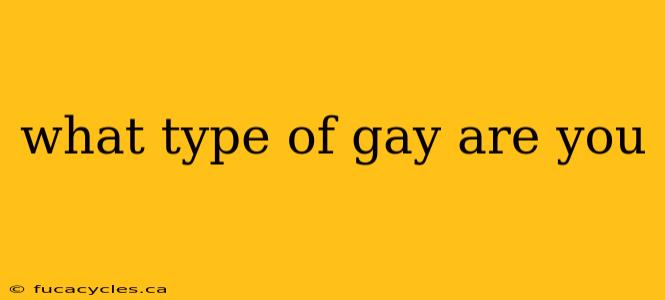 what type of gay are you