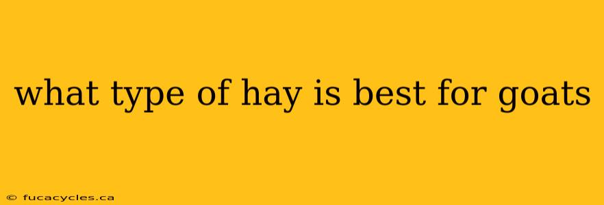 what type of hay is best for goats