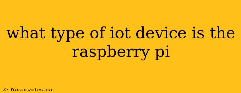 what type of iot device is the raspberry pi