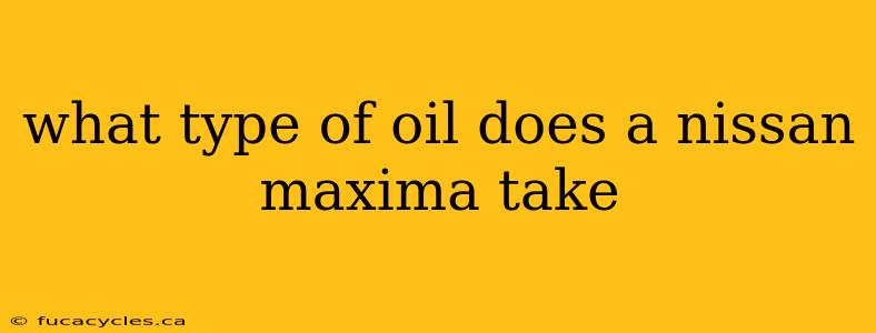 what type of oil does a nissan maxima take