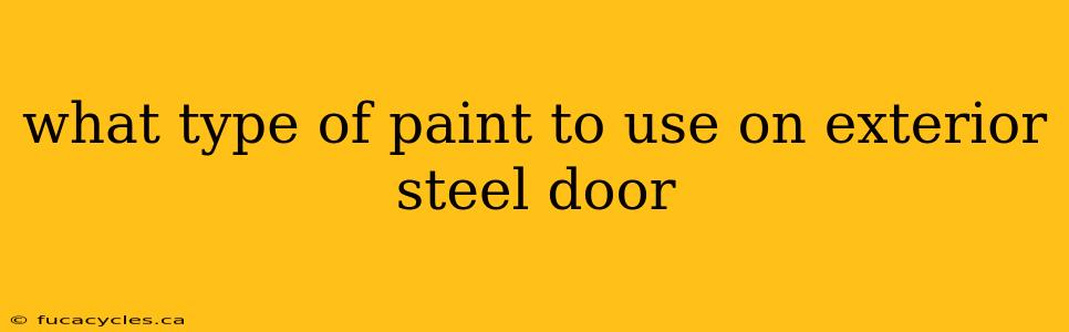 what type of paint to use on exterior steel door