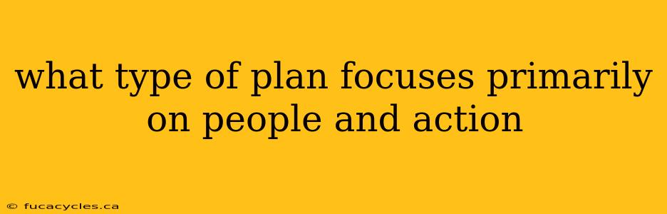 what type of plan focuses primarily on people and action