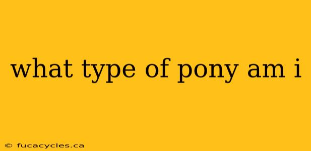 what type of pony am i