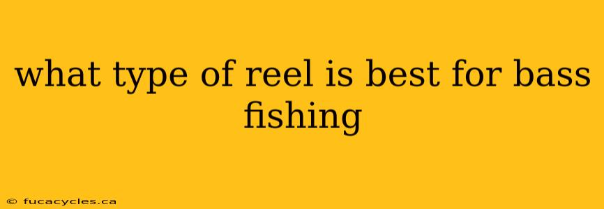 what type of reel is best for bass fishing