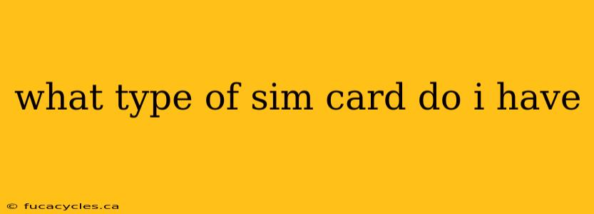 what type of sim card do i have