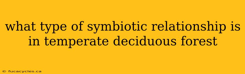 what type of symbiotic relationship is in temperate deciduous forest