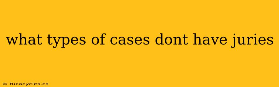 what types of cases dont have juries