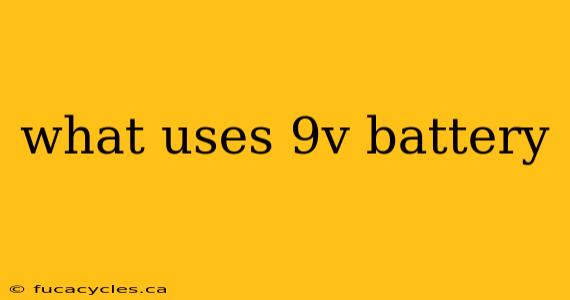 what uses 9v battery