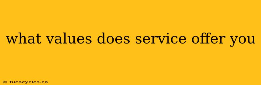 what values does service offer you