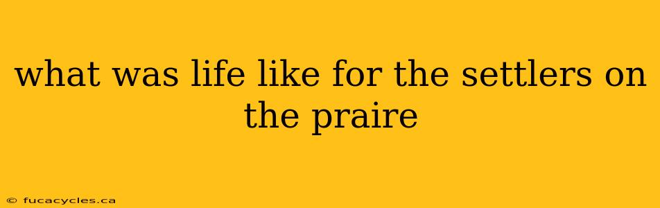 what was life like for the settlers on the praire