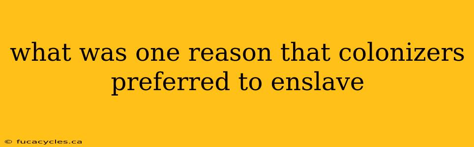 what was one reason that colonizers preferred to enslave