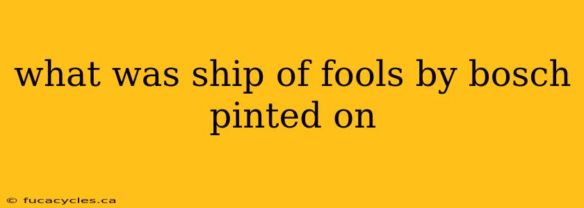 what was ship of fools by bosch pinted on