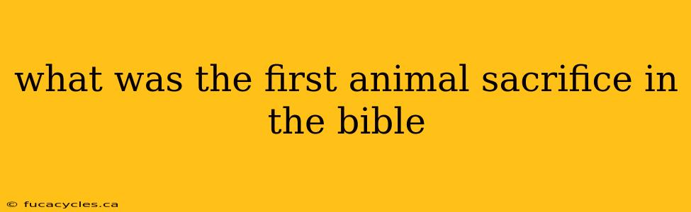 what was the first animal sacrifice in the bible