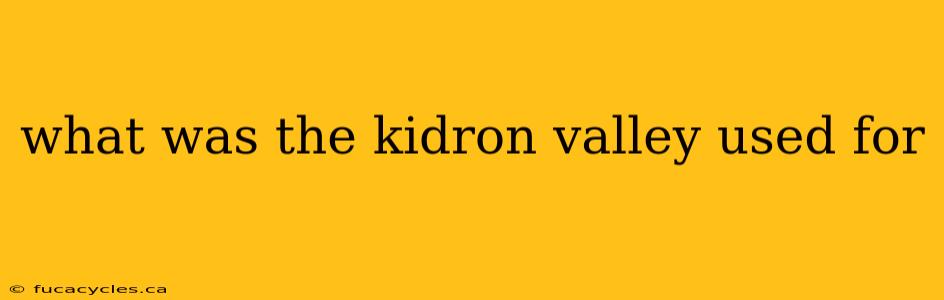 what was the kidron valley used for