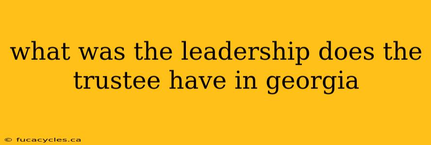 what was the leadership does the trustee have in georgia