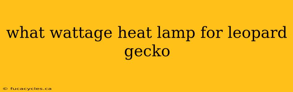 what wattage heat lamp for leopard gecko