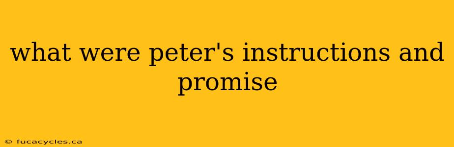 what were peter's instructions and promise