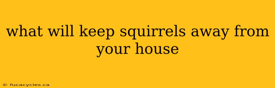 what will keep squirrels away from your house