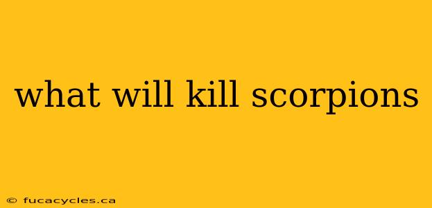 what will kill scorpions