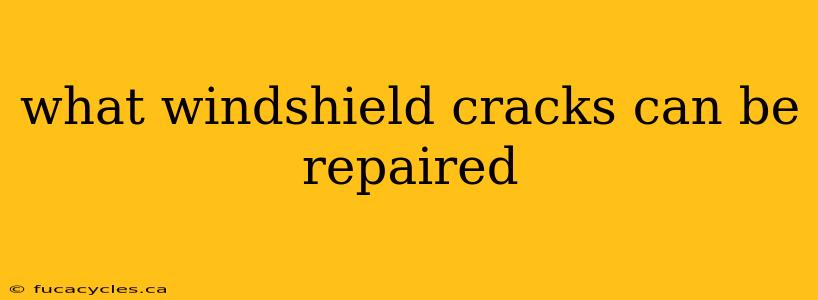 what windshield cracks can be repaired