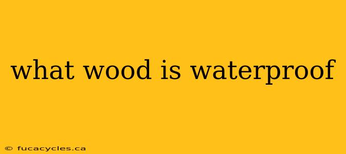 what wood is waterproof