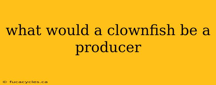 what would a clownfish be a producer