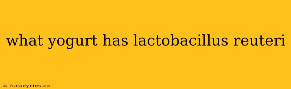 what yogurt has lactobacillus reuteri