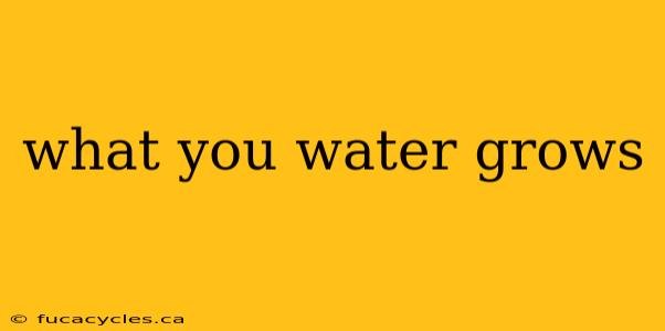 what you water grows