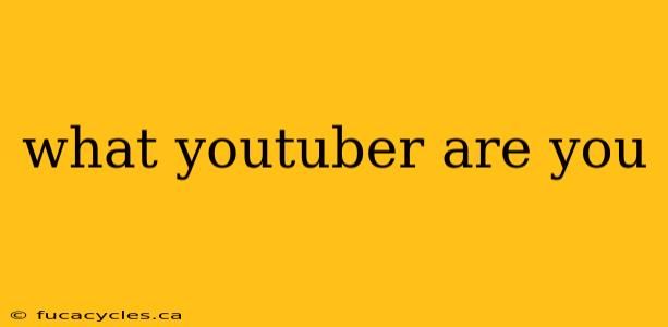 what youtuber are you