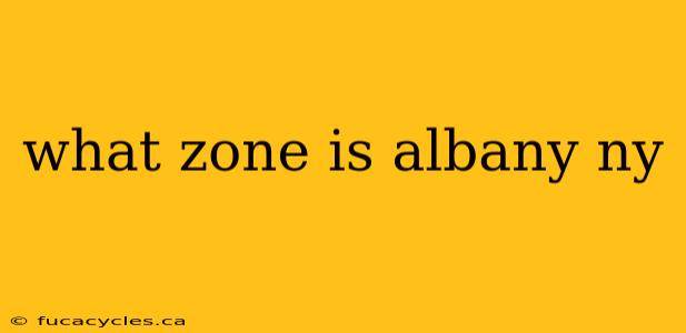 what zone is albany ny