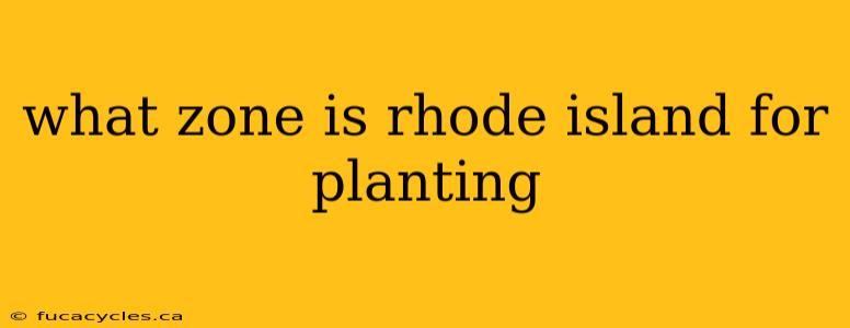 what zone is rhode island for planting