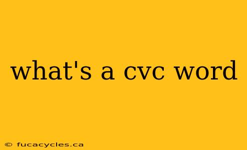 what's a cvc word