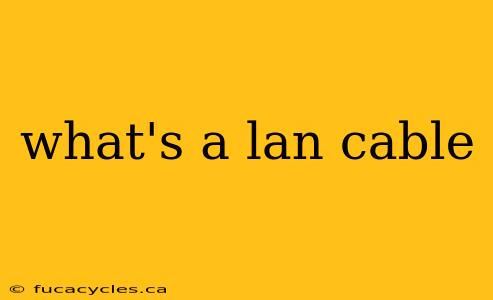 what's a lan cable