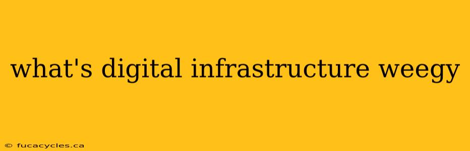 what's digital infrastructure weegy