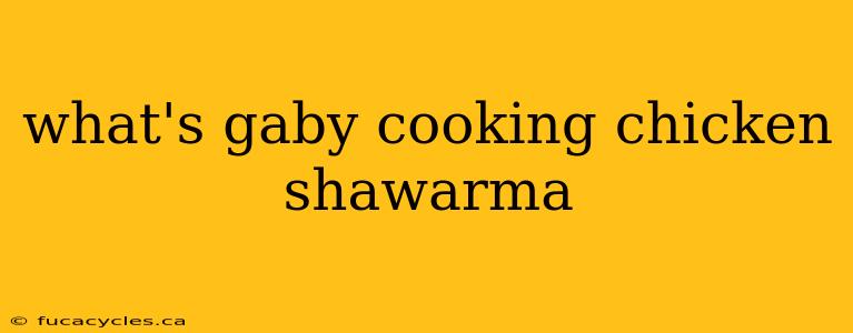 what's gaby cooking chicken shawarma