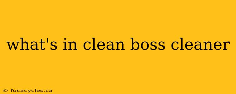 what's in clean boss cleaner