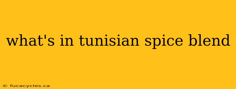 what's in tunisian spice blend