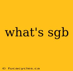 what's sgb