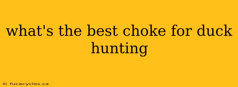 what's the best choke for duck hunting