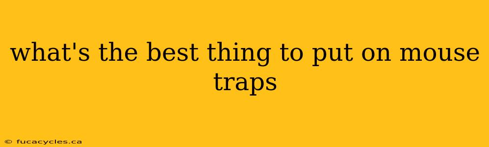 what's the best thing to put on mouse traps