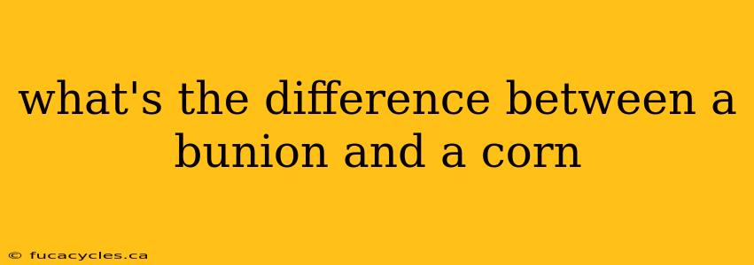 what's the difference between a bunion and a corn