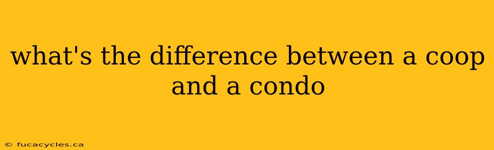 what's the difference between a coop and a condo