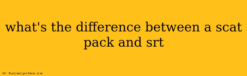 what's the difference between a scat pack and srt